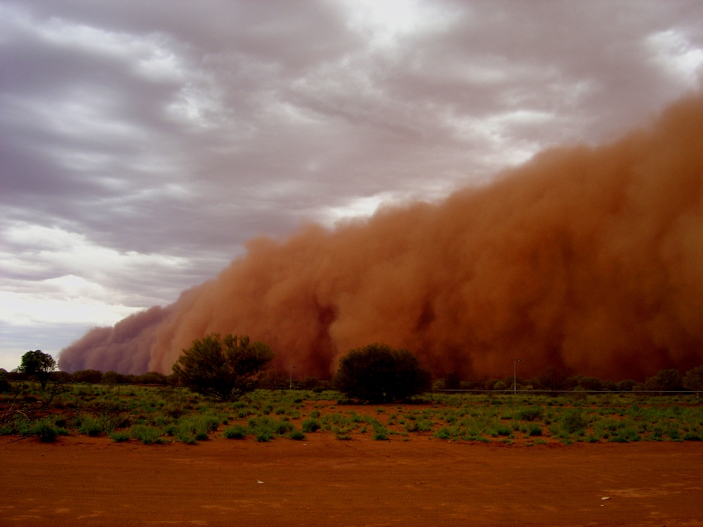 dust storm essay